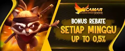 Rebate Slot Harian VIP 0.5% promotion